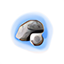 Piedra Cenozoica