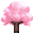 Cerezo en Flor