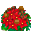 Flor de Nochebuena Deslumbrante