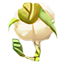 Ajo Fragante