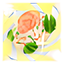 Guisado de Salmón Cremoso Máximo