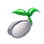 Semilla de Árbol Antiguo